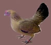 Dark Brown -Click to Enlarge