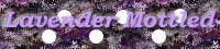 Lavender Mottled